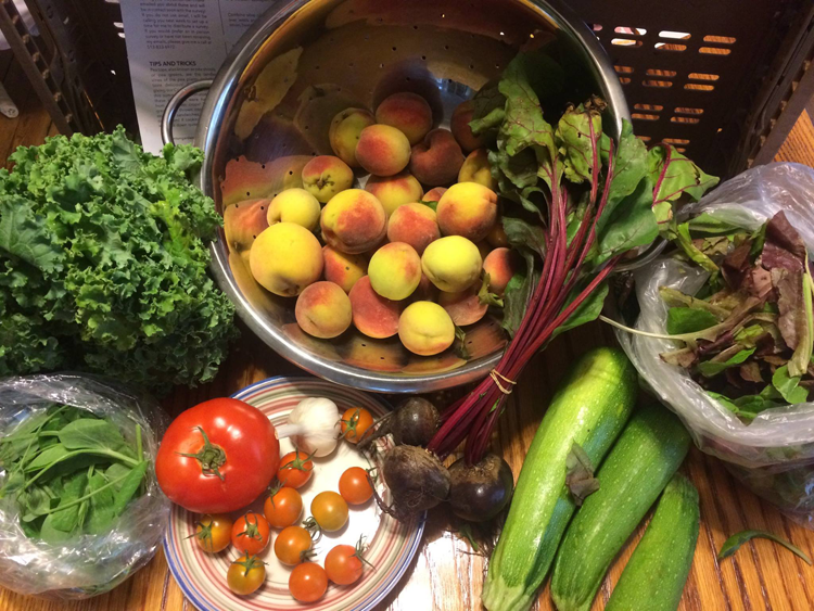 Franklinton Farms